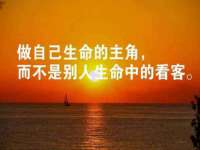 沭阳县阳之耀电子商务有限公司