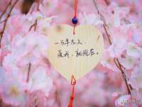 沭阳县阳之耀电子商务有限公司