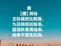 沭阳县阳之耀电子商务有限公司