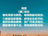 沭阳县阳之耀电子商务有限公司