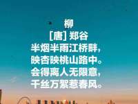 沭阳县阳之耀电子商务有限公司