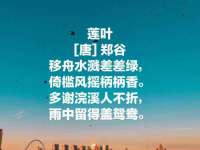 沭阳县阳之耀电子商务有限公司