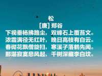 沭阳县阳之耀电子商务有限公司