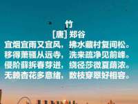 沭阳县阳之耀电子商务有限公司