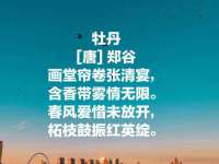 沭阳县阳之耀电子商务有限公司