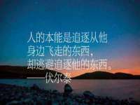 沭阳县阳之耀电子商务有限公司