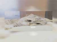 沭阳县阳之耀电子商务有限公司
