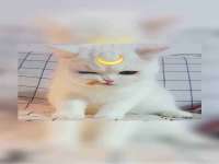 沭阳县阳之耀电子商务有限公司