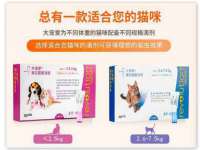 沭阳县阳之耀电子商务有限公司