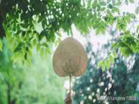 沭阳县阳之耀电子商务有限公司
