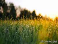 沭阳县阳之耀电子商务有限公司