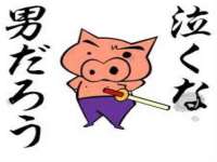 沭阳县阳之耀电子商务有限公司