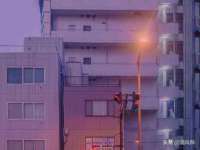 沭阳县阳之耀电子商务有限公司