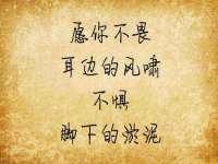 沭阳县阳之耀电子商务有限公司