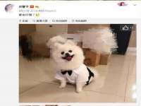沭阳县阳之耀电子商务有限公司