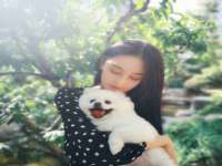 沭阳县阳之耀电子商务有限公司