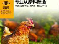 沭阳县阳之耀电子商务有限公司