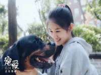 沭阳县阳之耀电子商务有限公司