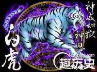 沭阳县阳之耀电子商务有限公司