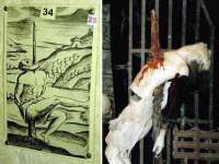 沭阳县阳之耀电子商务有限公司