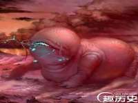 沭阳县阳之耀电子商务有限公司