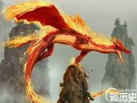 沭阳县阳之耀电子商务有限公司