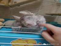 沭阳县阳之耀电子商务有限公司