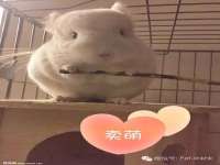 沭阳县阳之耀电子商务有限公司