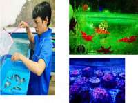 沭阳县阳之耀电子商务有限公司