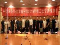 沭阳县阳之耀电子商务有限公司