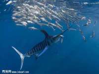 沭阳县阳之耀电子商务有限公司