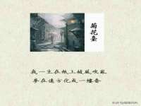 沭阳县阳之耀电子商务有限公司