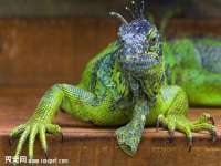 沭阳县阳之耀电子商务有限公司