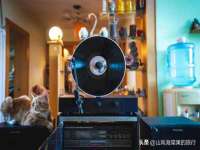 沭阳县阳之耀电子商务有限公司