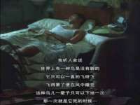 沭阳县阳之耀电子商务有限公司