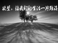 沭阳县阳之耀电子商务有限公司