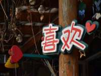 沭阳县阳之耀电子商务有限公司