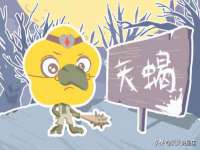 沭阳县阳之耀电子商务有限公司
