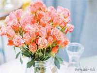 沭阳县阳之耀电子商务有限公司