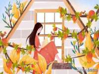 沭阳县阳之耀电子商务有限公司