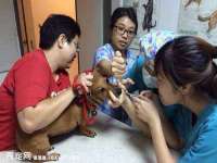 沭阳县阳之耀电子商务有限公司