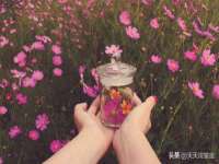 沭阳县阳之耀电子商务有限公司