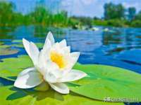 沭阳县阳之耀电子商务有限公司