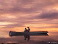 沭阳县阳之耀电子商务有限公司