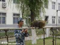 沭阳县阳之耀电子商务有限公司