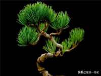 沭阳县阳之耀电子商务有限公司