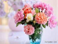 沭阳县阳之耀电子商务有限公司