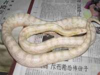 沭阳县阳之耀电子商务有限公司