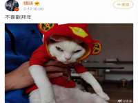 沭阳县阳之耀电子商务有限公司