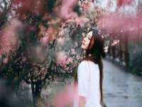 沭阳县阳之耀电子商务有限公司